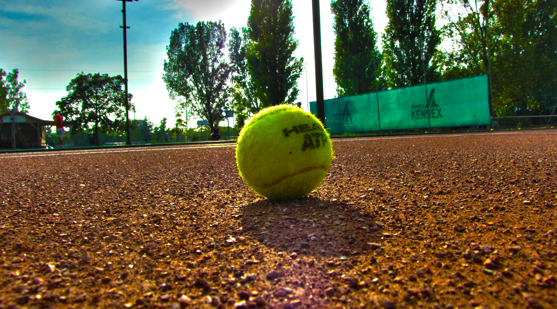 Tennisball